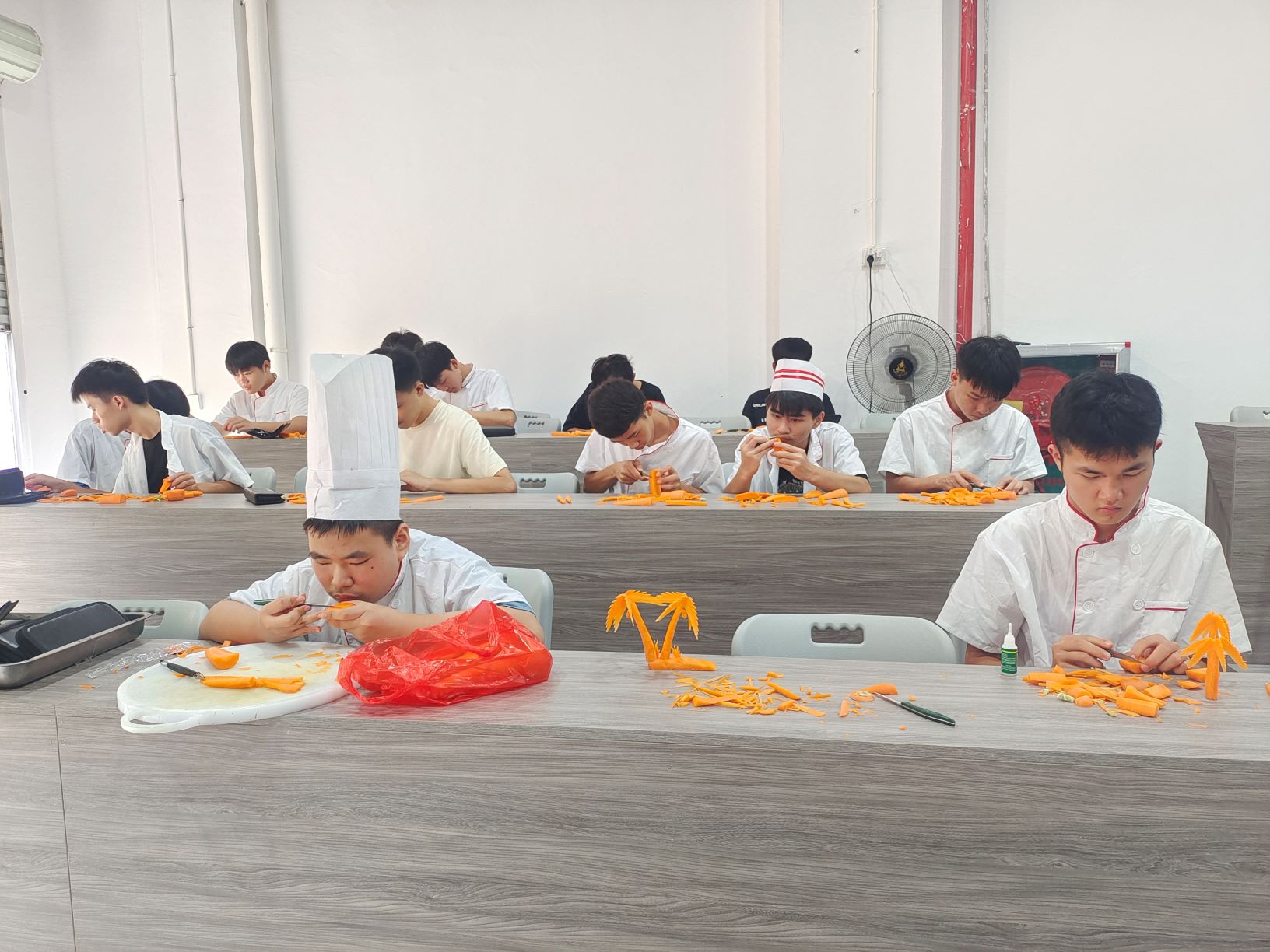 学生作品展示丨开云网页版登录入口